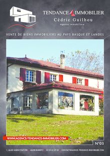 TENDANCE IMMOBILIER N°3