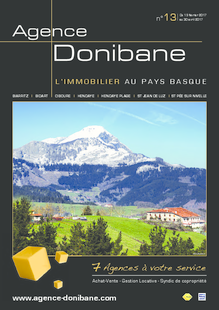 AGENCE DONIBANE N°13 