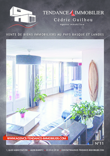 TENDANCE IMMOBILIER N°11 - Avril 2017