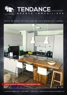 TENDANCE IMMOBILIER N°29 - JUIN 2019